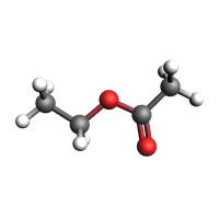 image generated from notebook