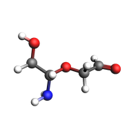 image generated from notebook