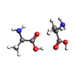 image generated from notebook