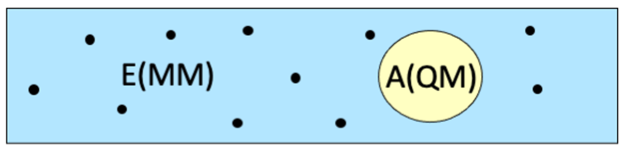 _images/qmmm_ee.png