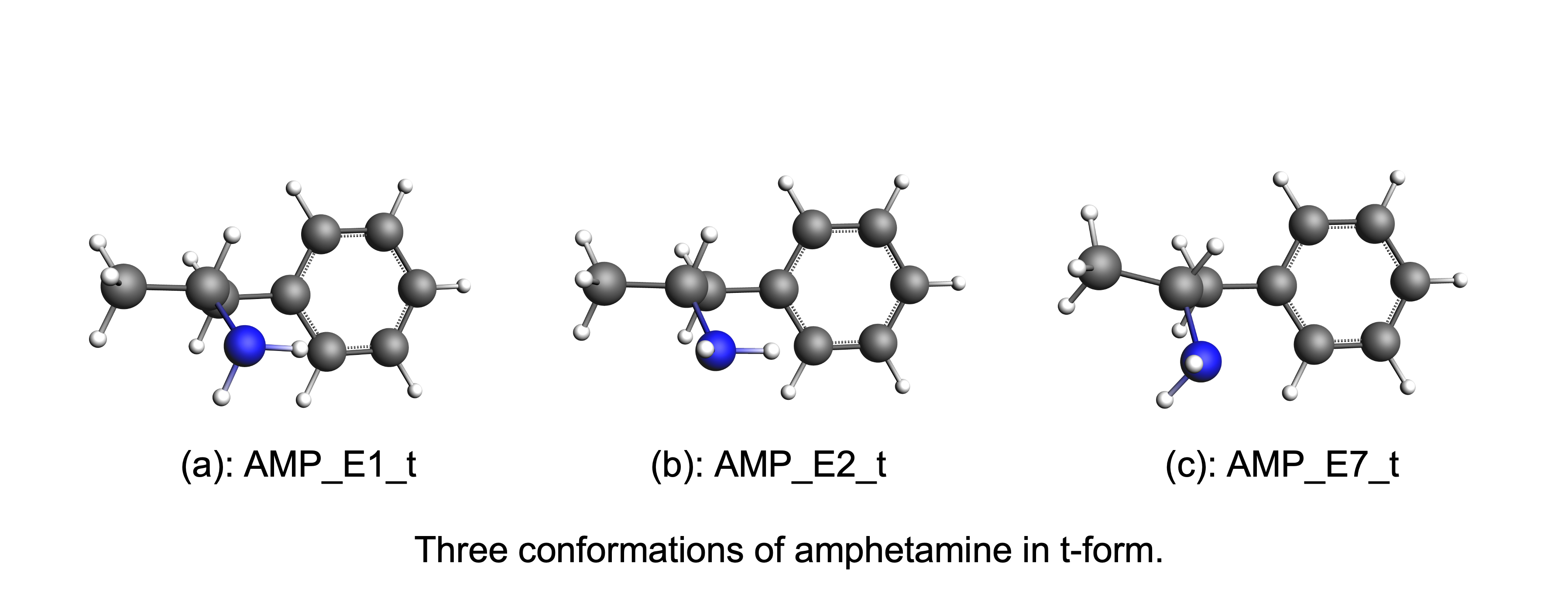 ../_images/AMP-t-form.png