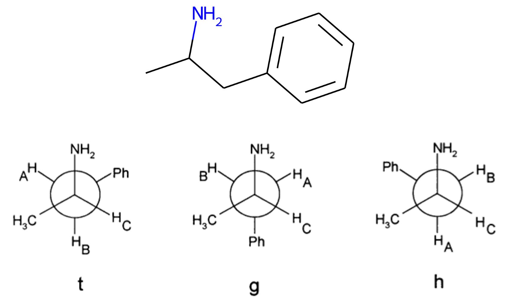 ../_images/AMP_rotamers.png