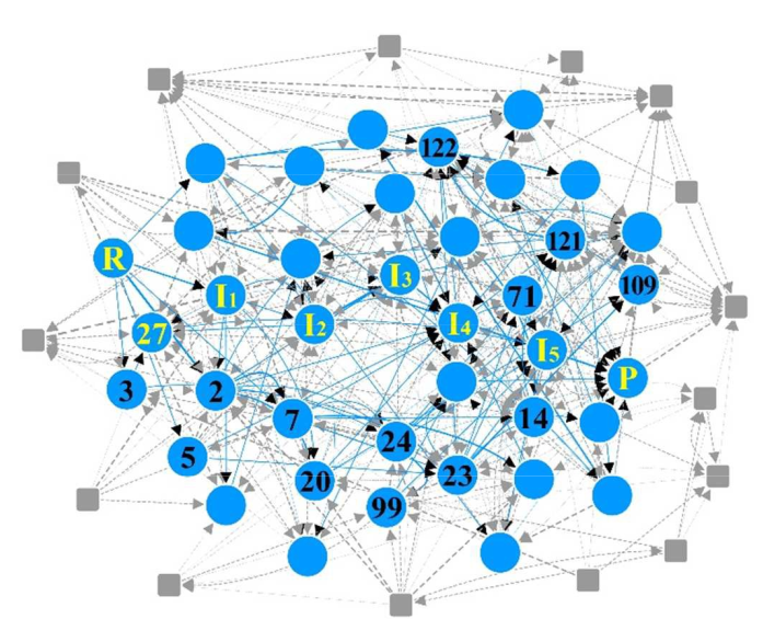 _images/reaction_network.png