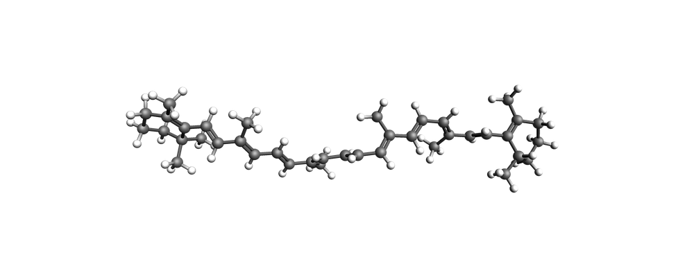 image generated from notebook