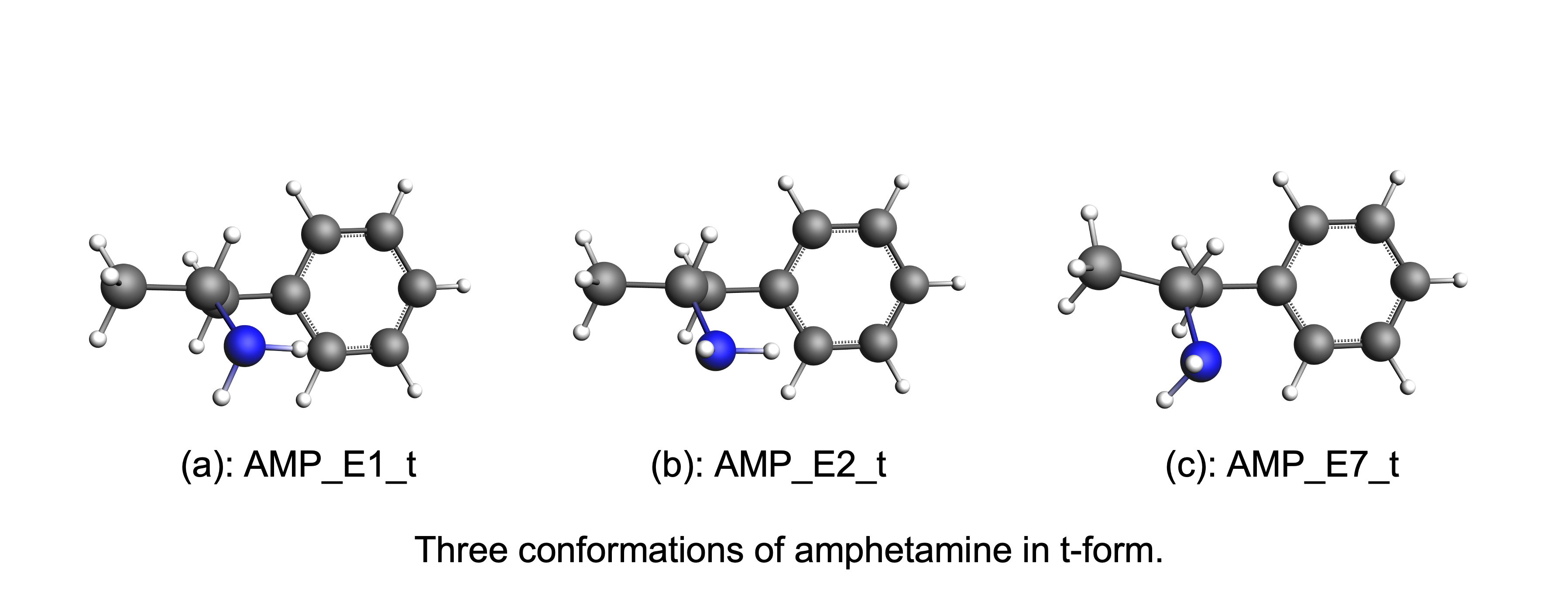 /scm-uploads/doc/Tutorials/_images/AMP-t-form.png