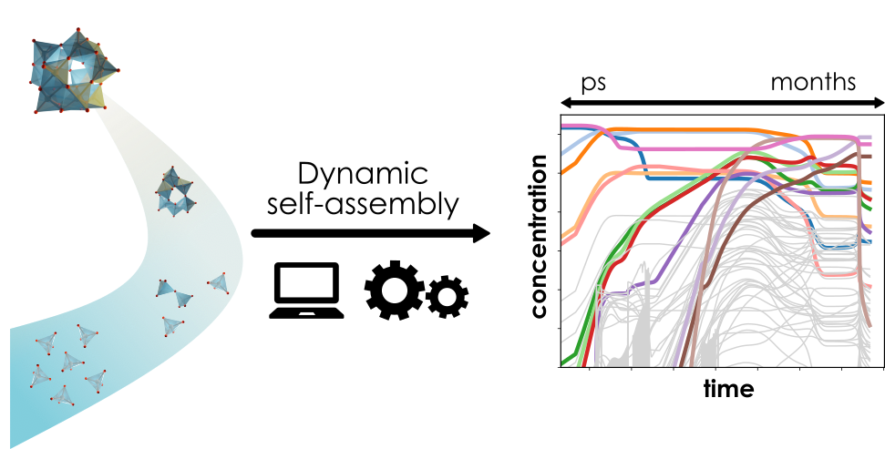 POM formation
