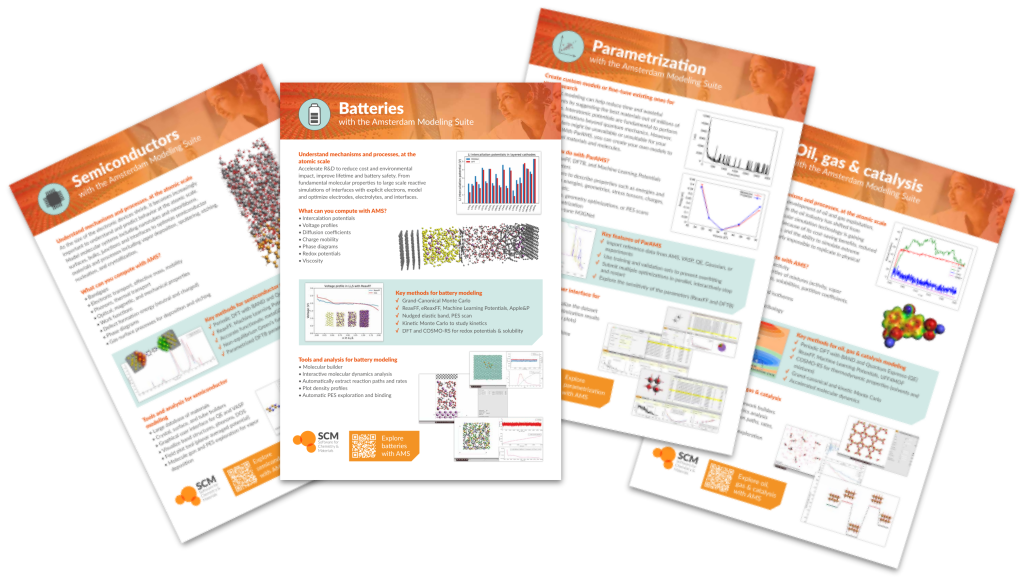 Scm information flyers 2024