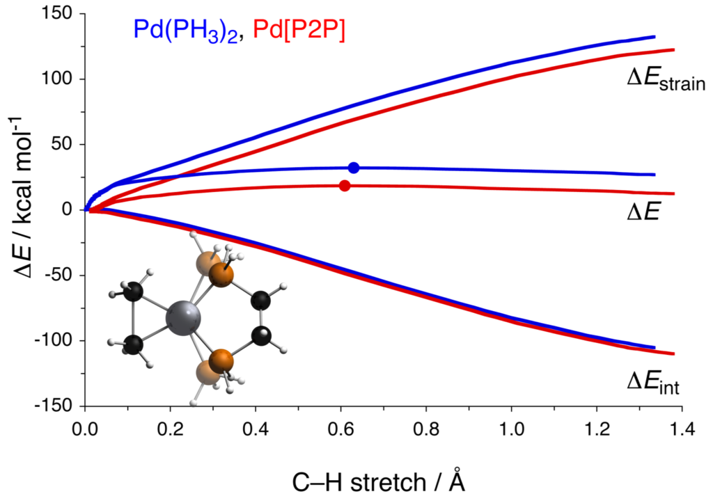 Pd catalyzed C-C bond activation: the Activation Strain Model