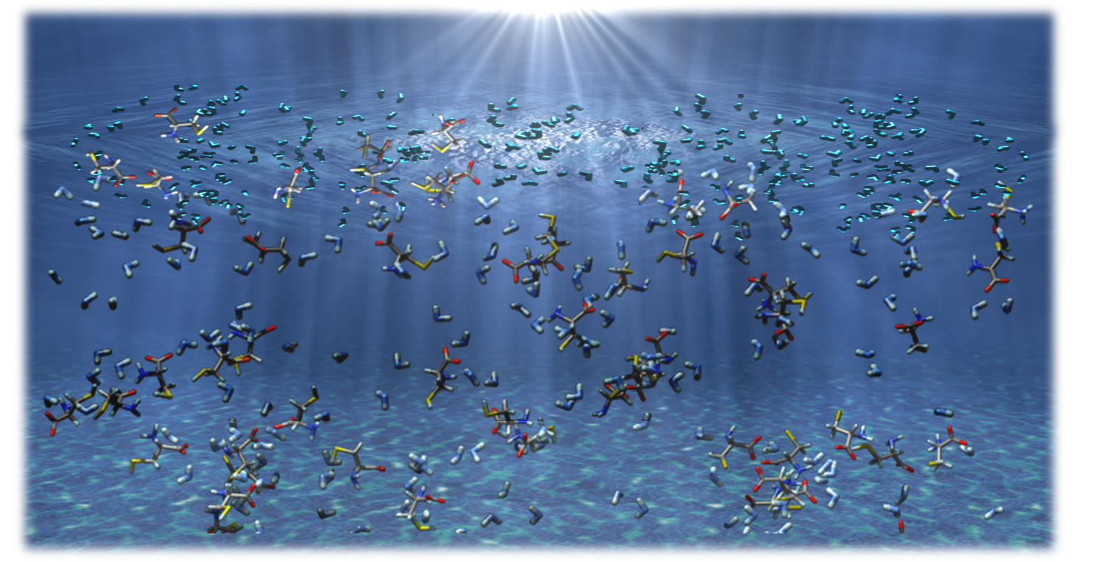 Cysteine in aqueous solution (bulk and interface)