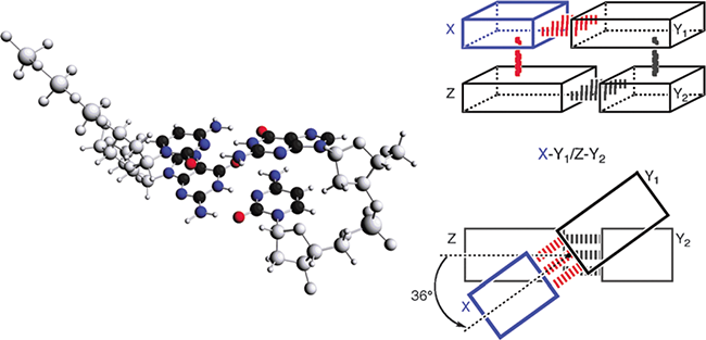 Molecule