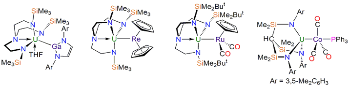 First U metalloid bonds