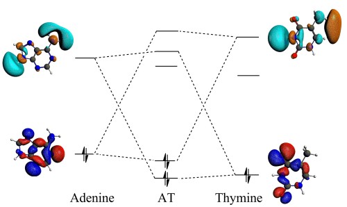 orbital level diagram bonding AT basepair