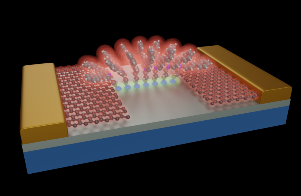 Molecular Electronics with graphene electrodes