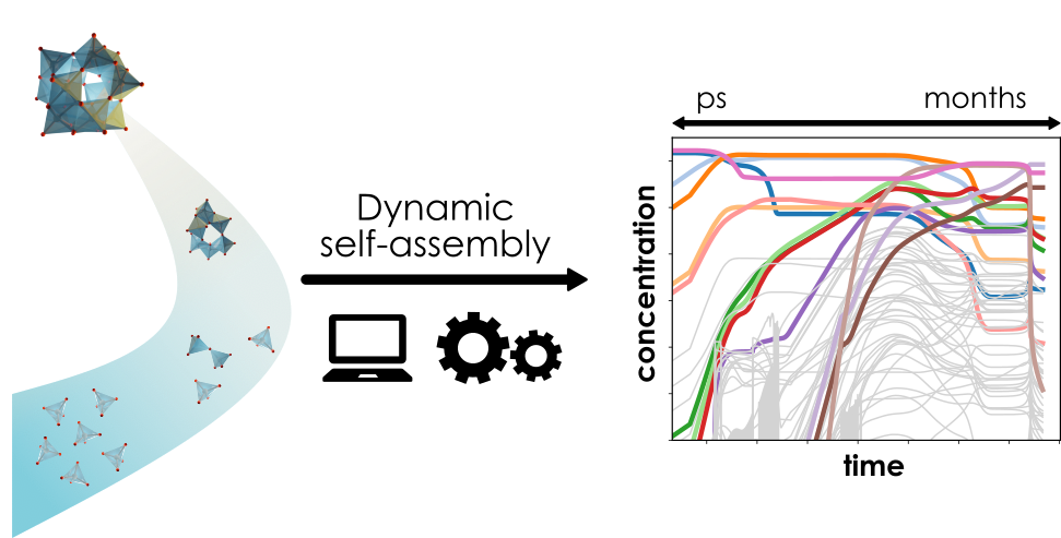 POM formation
