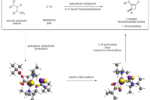 Pd catalyzed CO amine coupling