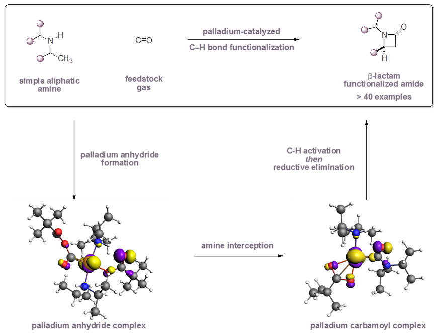 Pd cartalyzed CO amine coupling