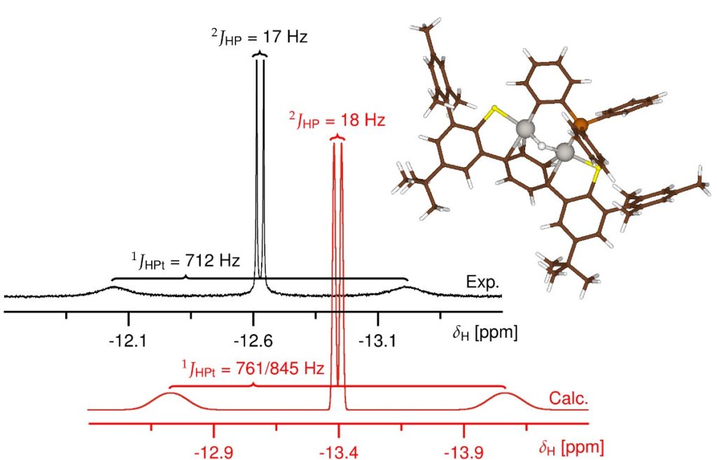 Pt-H-Pt complex NMR spectra compare well with calculations