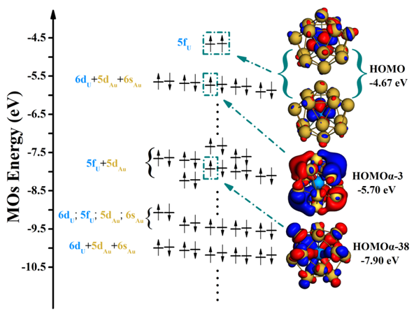 orbital level diagram U capsulated in Au14 nanoparticles