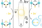 photochemical water splitting uranyl
