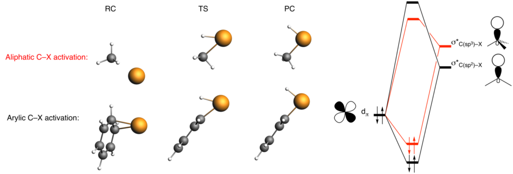 Facile Arylic C X Bond Activation Explained Software For Chemistry Materials Software For Chemistry Materials