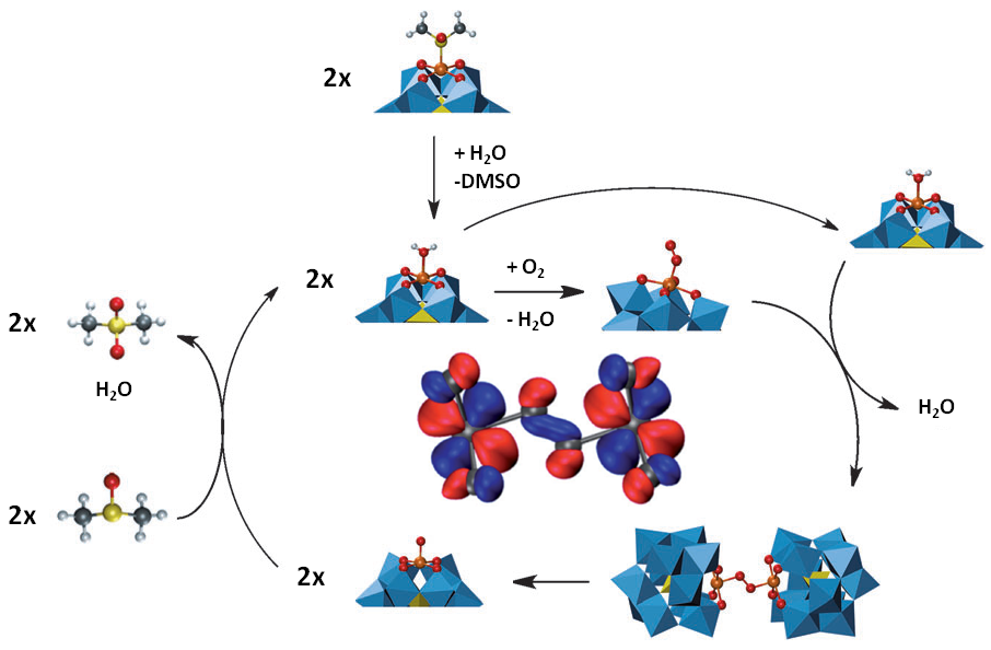 catalytic cycle oxidation by Ru POM