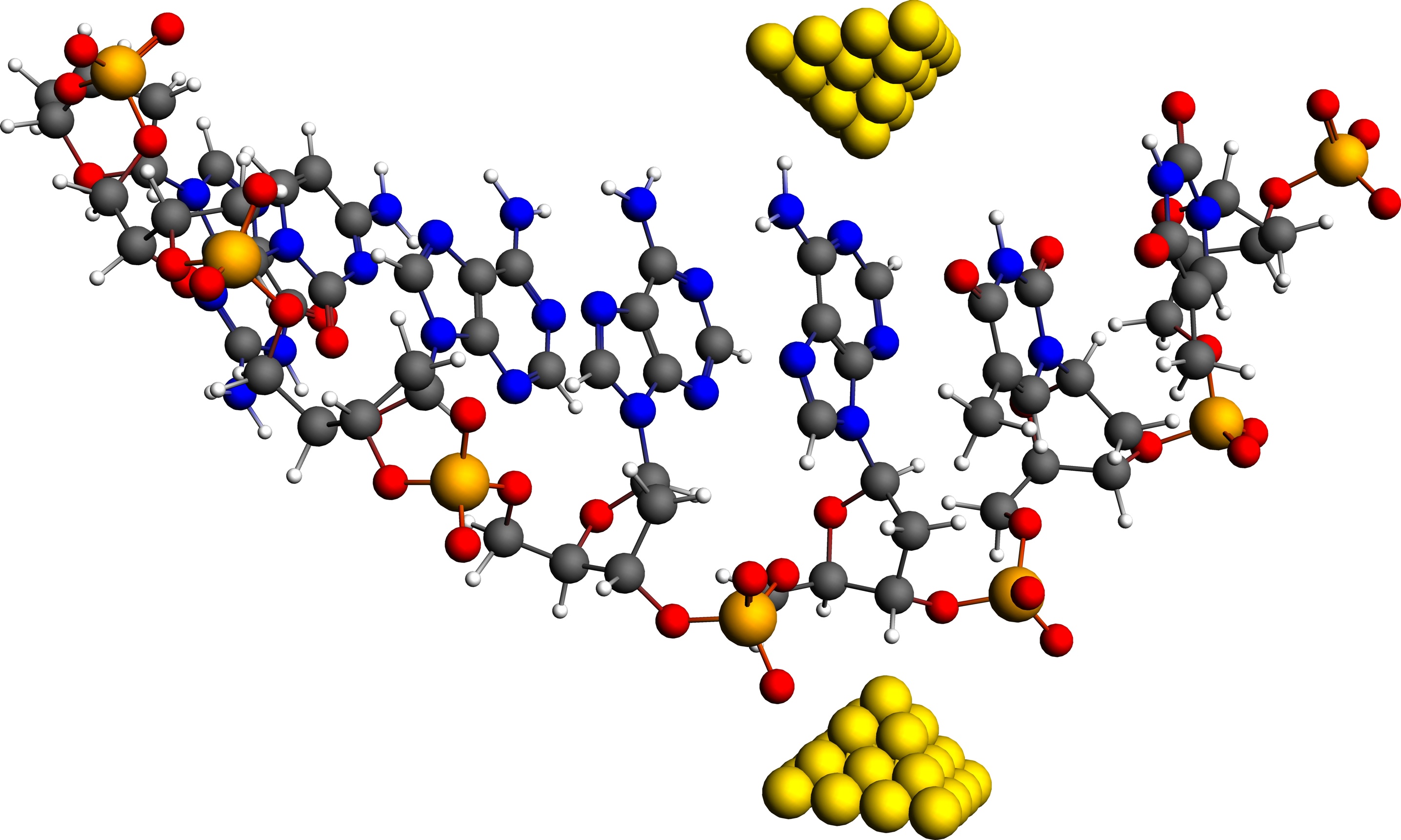 Charge transport DNA