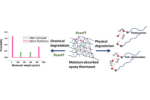 hygrothermal degradation of polymers