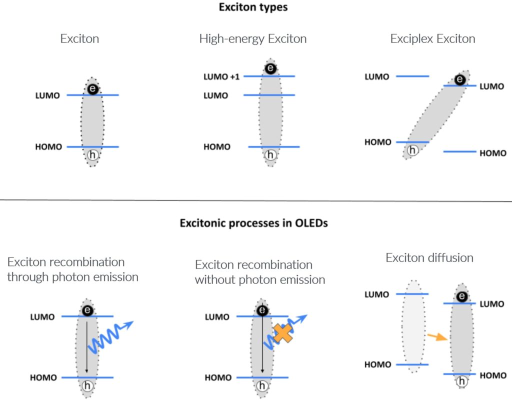 exciton types and processes